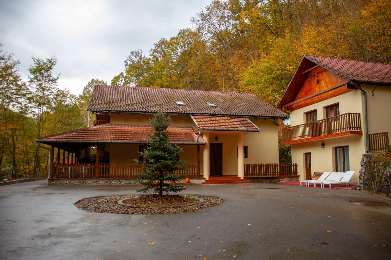 Pensiunea Valea Gepisului Tőtös Kültér fotó